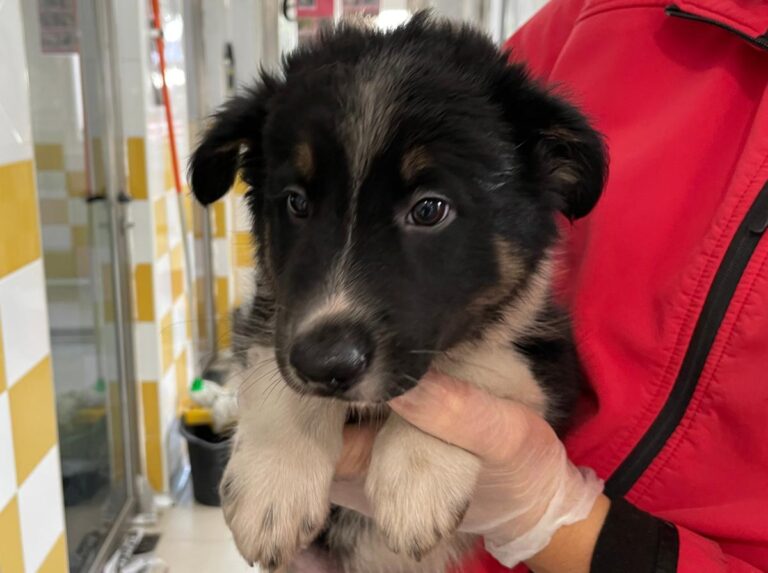 multimedia-foto86103-138-1