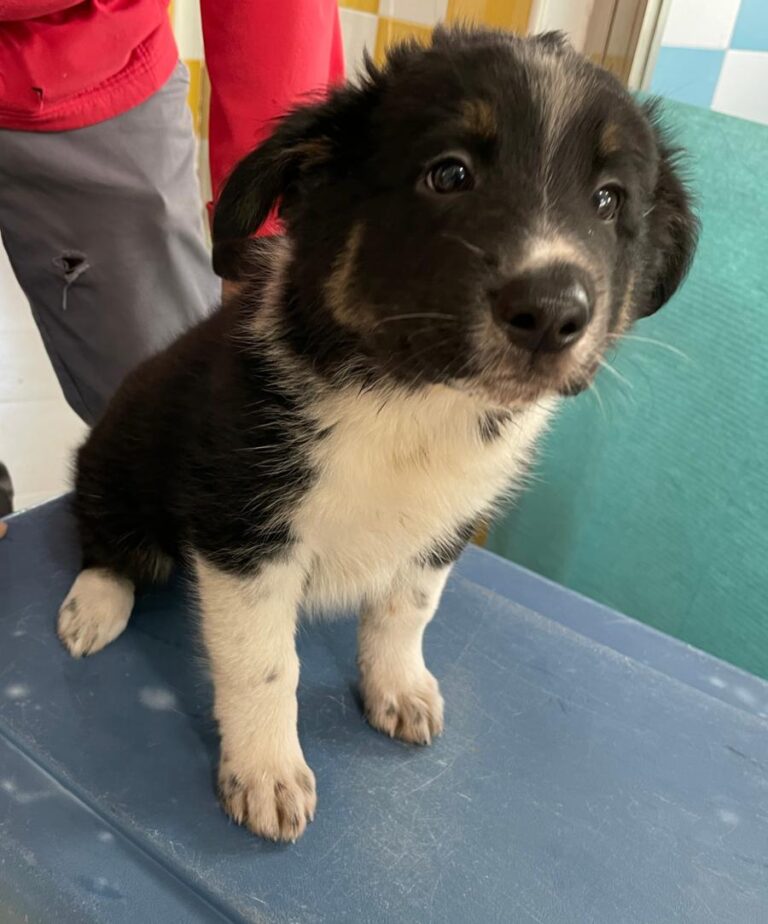 multimedia-foto86108-139-1