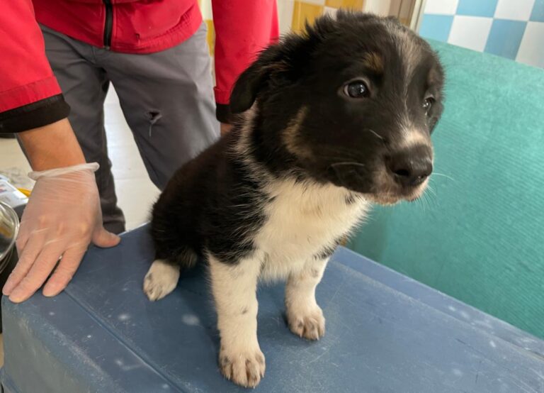 multimedia-foto86109-139-1