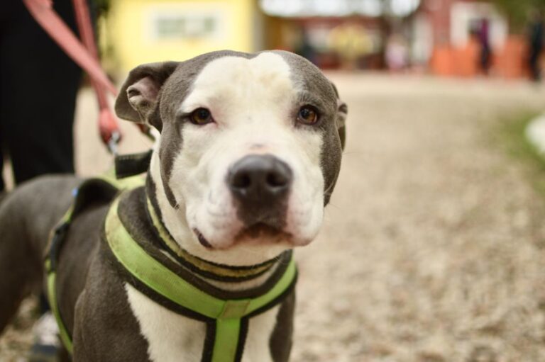 multimedia-foto86152-472-1