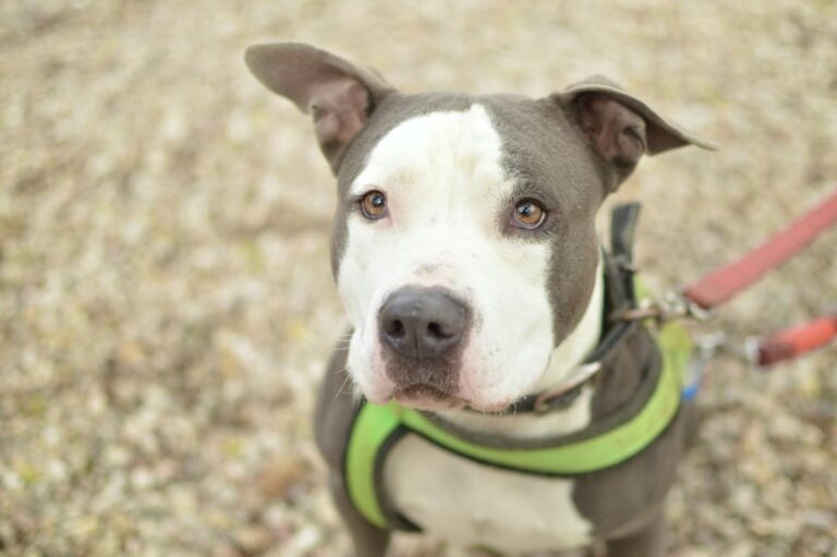 multimedia-foto86153-472-1