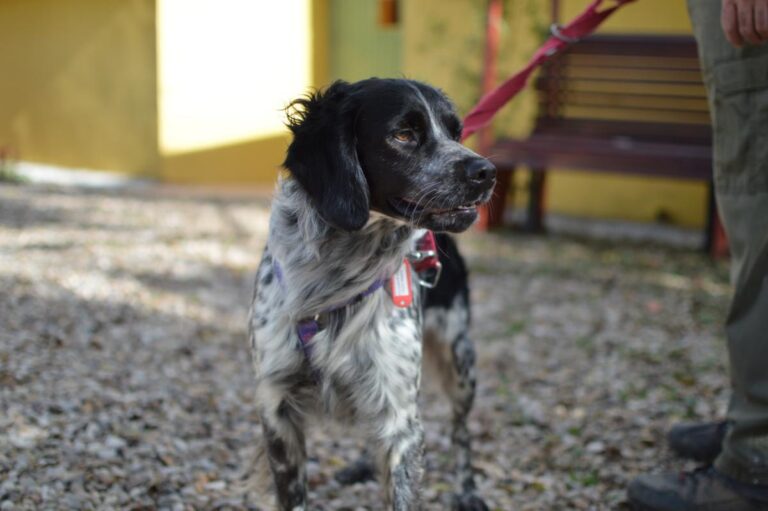 multimedia-foto86154-671-1