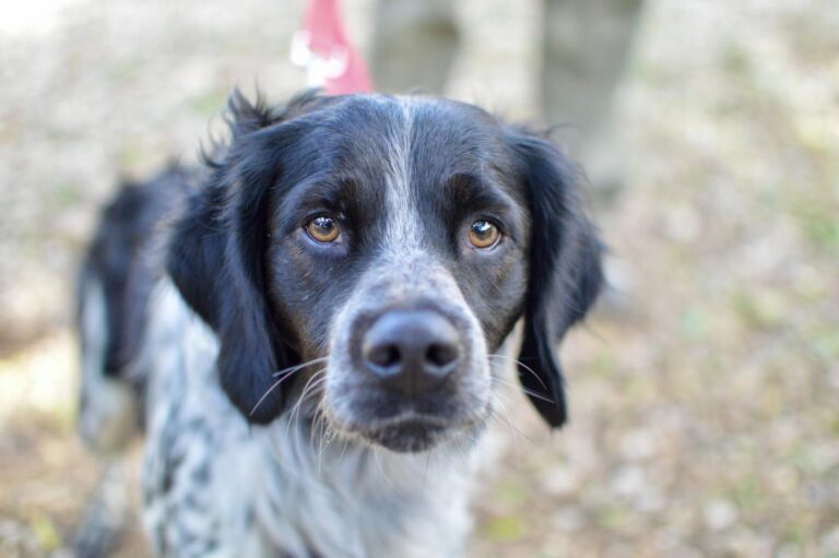 multimedia-foto86155-671-1