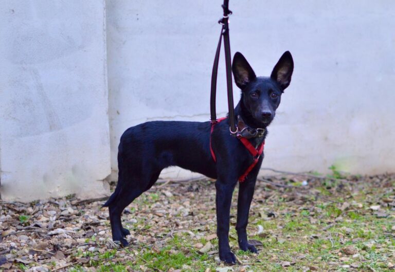 multimedia-foto86156-718-3