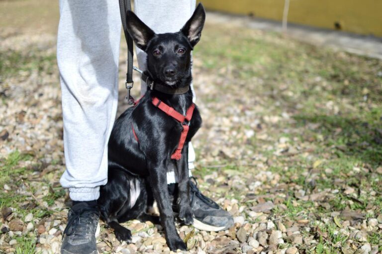 multimedia-foto86157-718-3