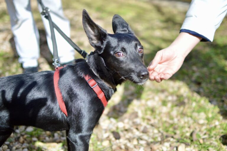 multimedia-foto86158-719-3