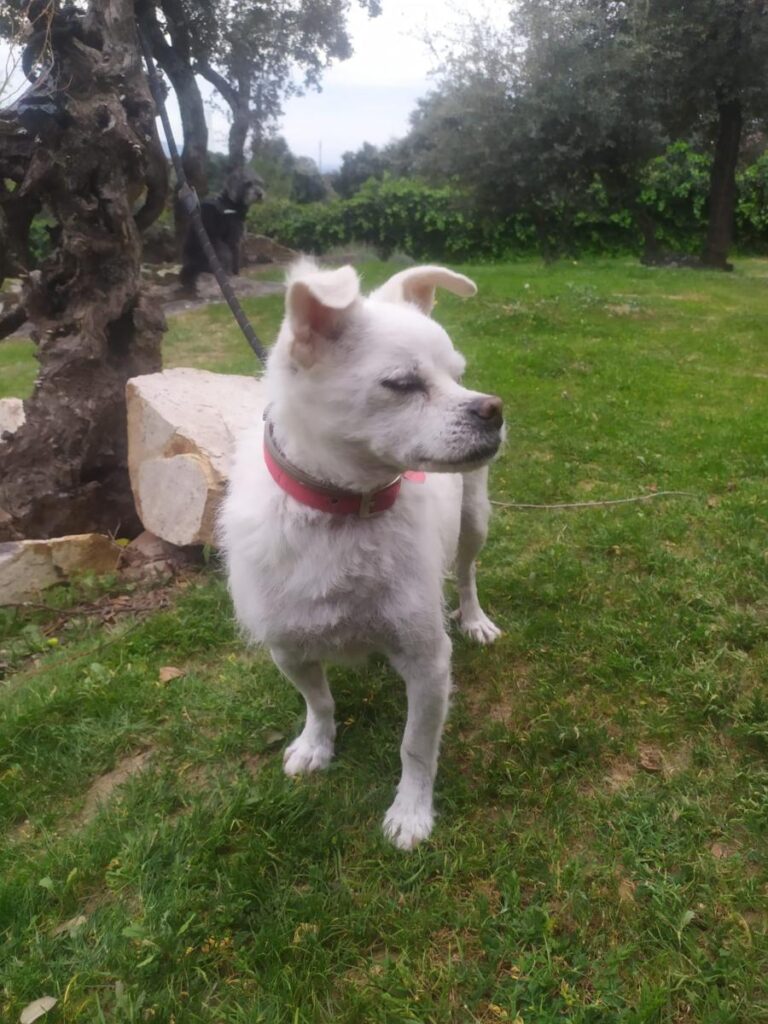 multimedia-foto86160-662-1