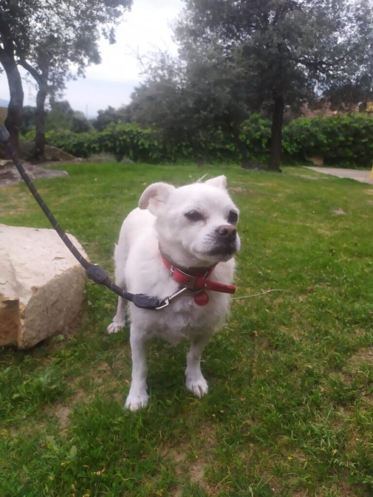 multimedia-foto86161-662-1