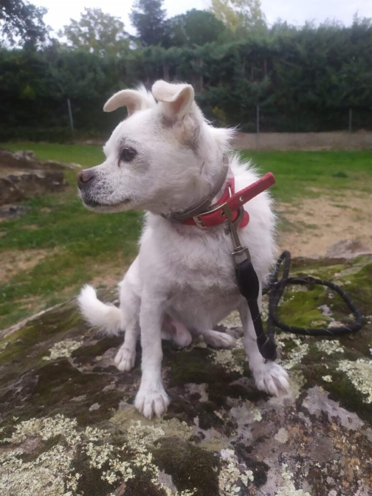 multimedia-foto86163-663-1