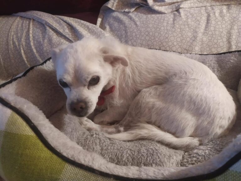 multimedia-foto86165-663-1