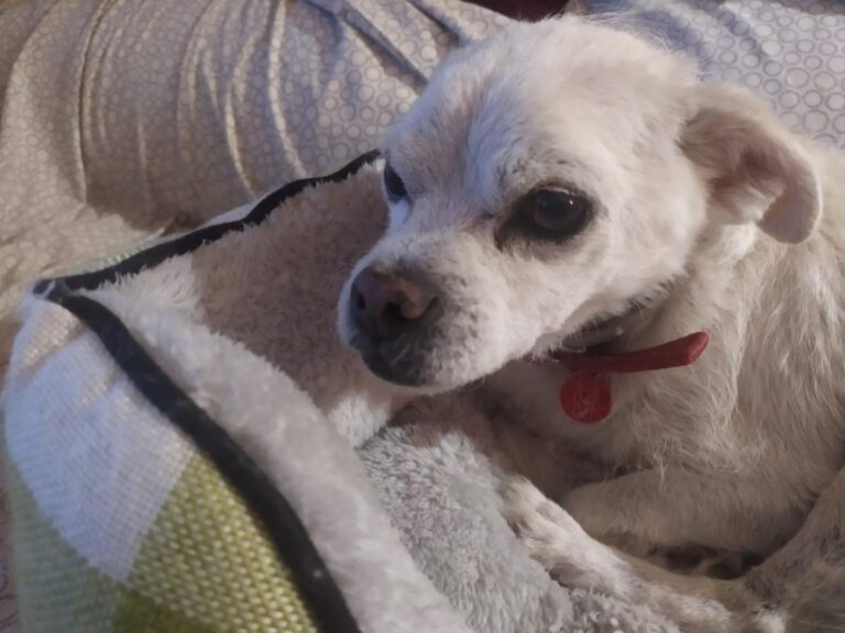 multimedia-foto86166-663-1