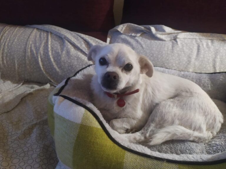 multimedia-foto86168-664-1