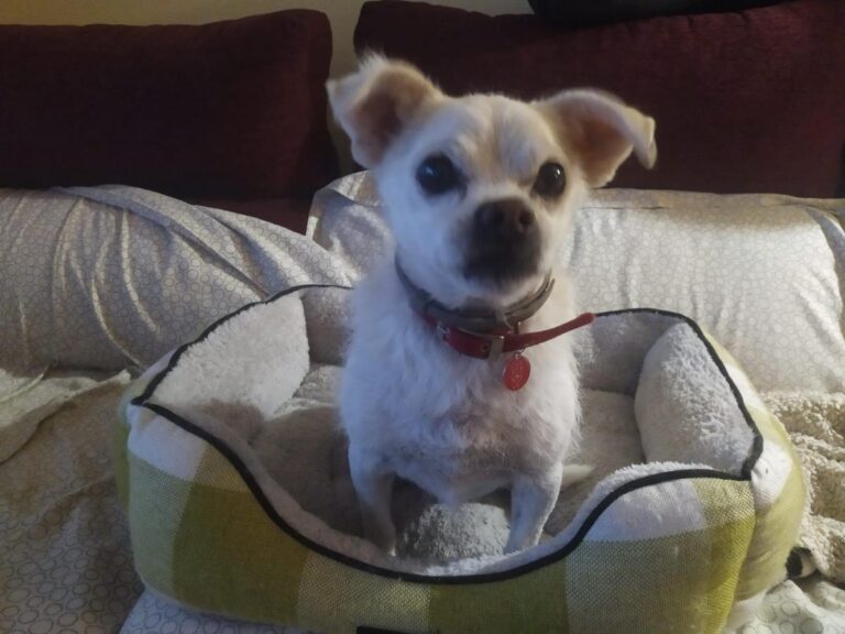 multimedia-foto86169-664-1