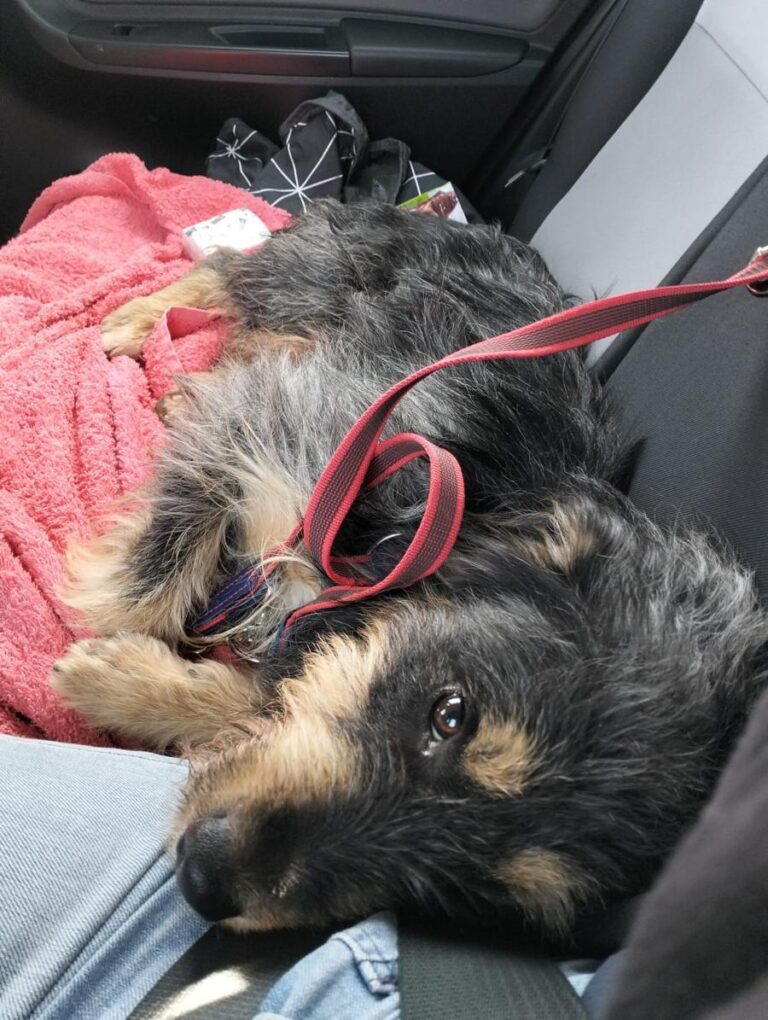 multimedia-foto86175-857-1