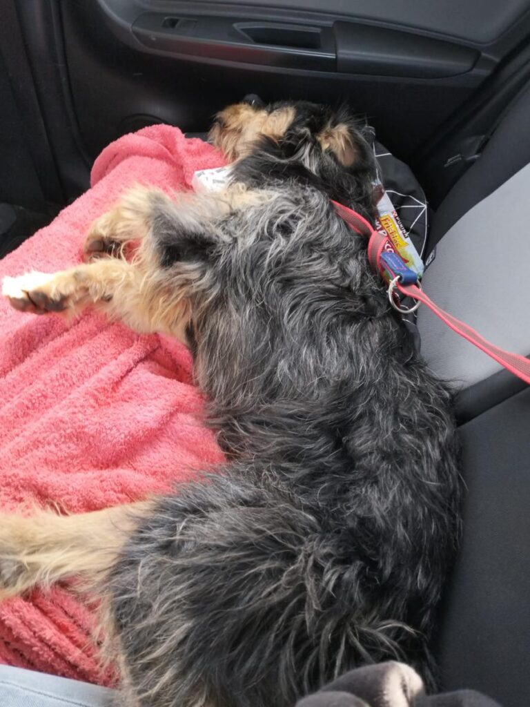 multimedia-foto86176-857-1