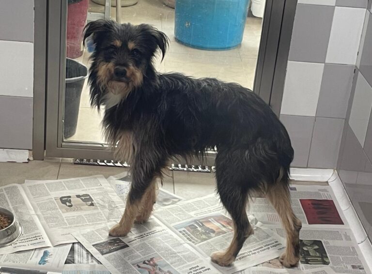 multimedia-foto86177-857-1