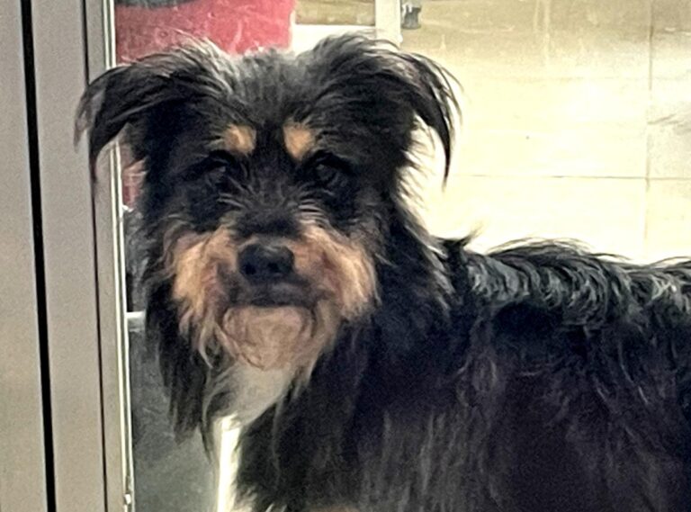 multimedia-foto86178-857-1