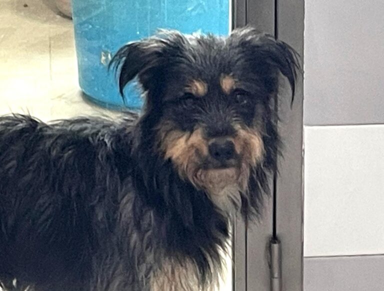 multimedia-foto86179-858-1