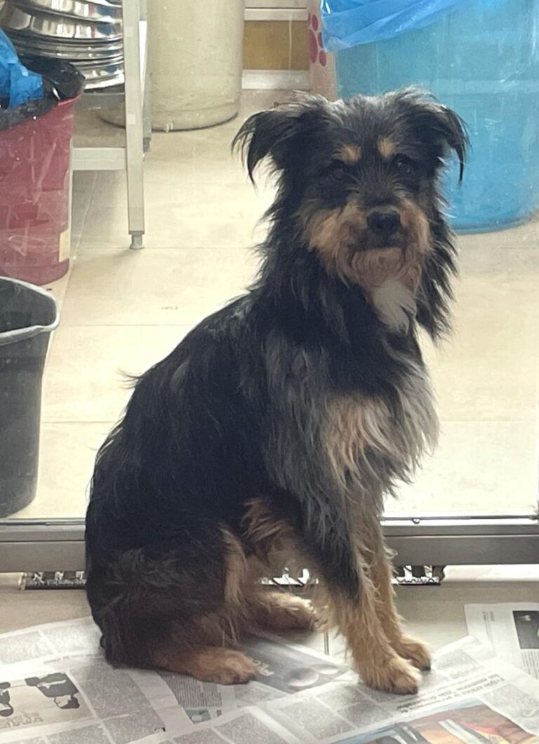 multimedia-foto86180-858-1