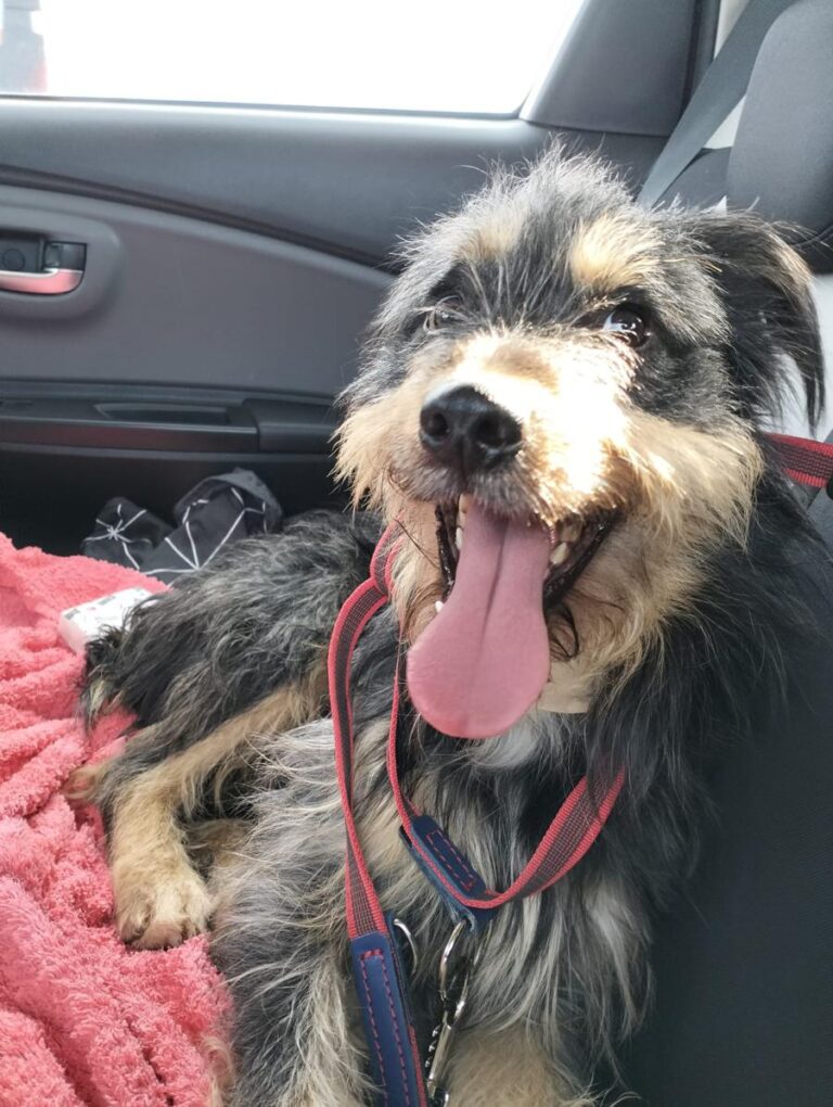 multimedia-foto86181-858-1