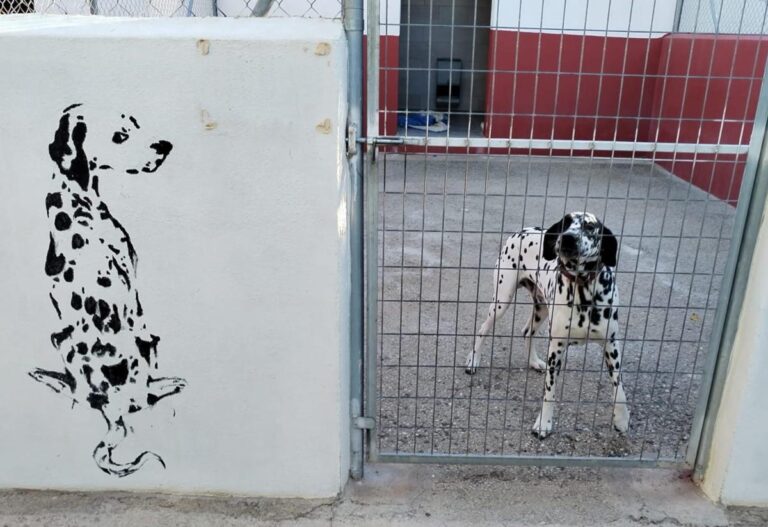 multimedia-foto86202-310-1