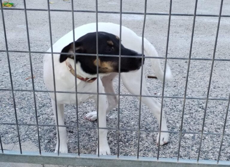 multimedia-foto86213-106-1