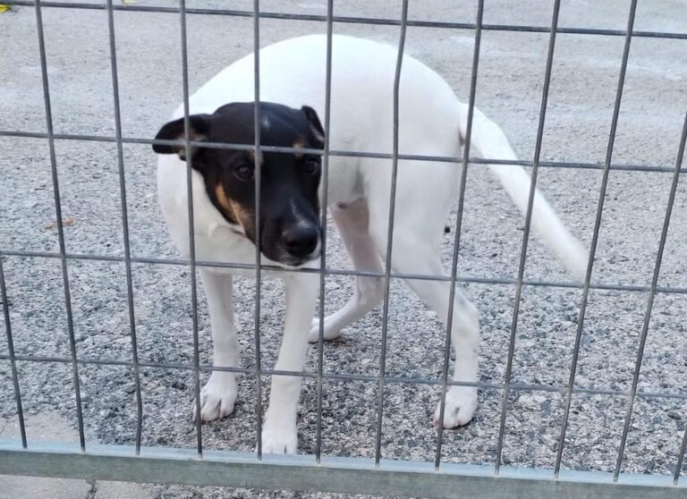 multimedia-foto86214-107-1