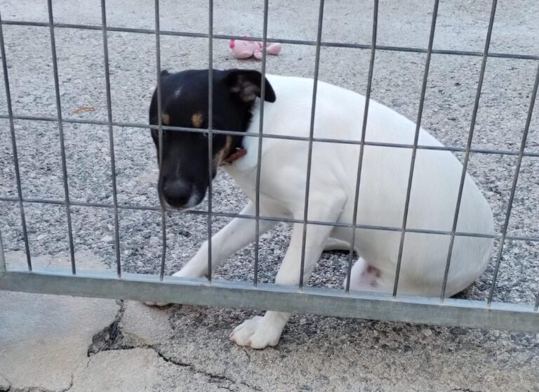 multimedia-foto86215-107-1