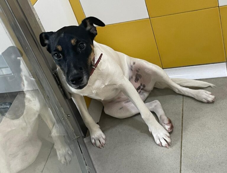 multimedia-foto86227-822-1