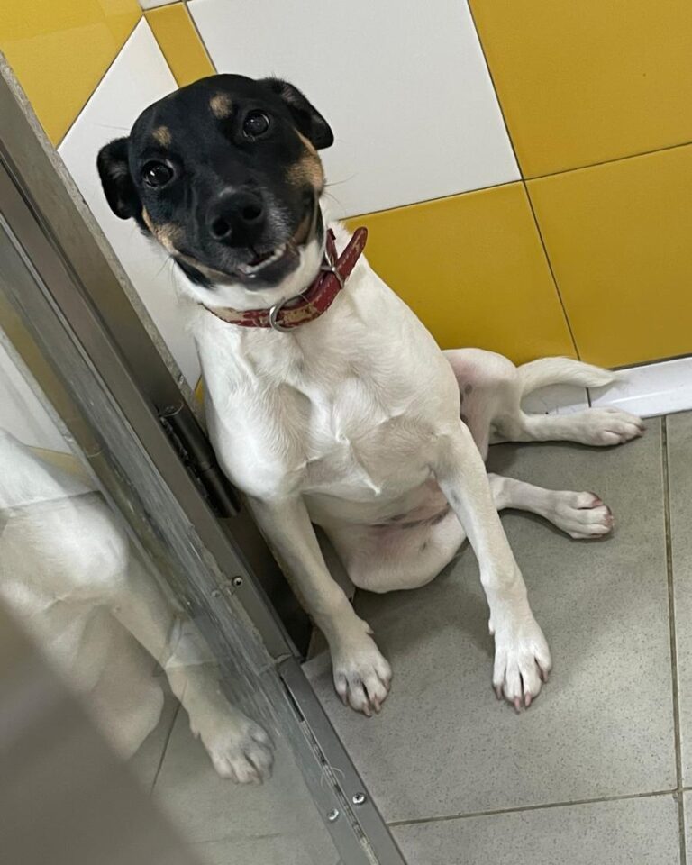 multimedia-foto86230-823-1