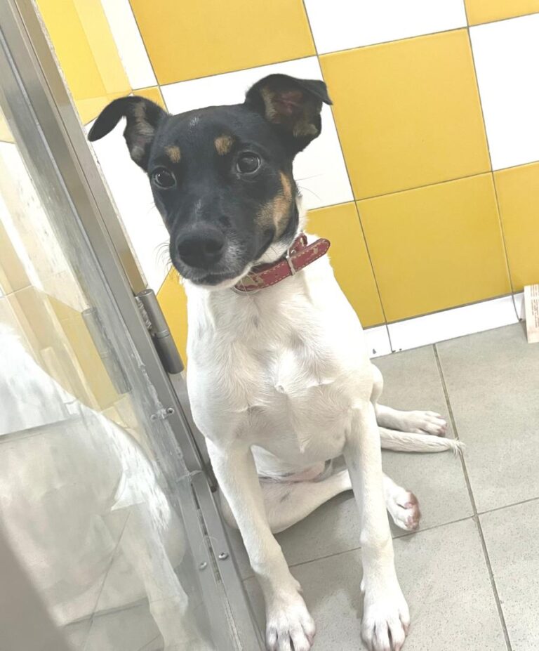 multimedia-foto86231-823-1