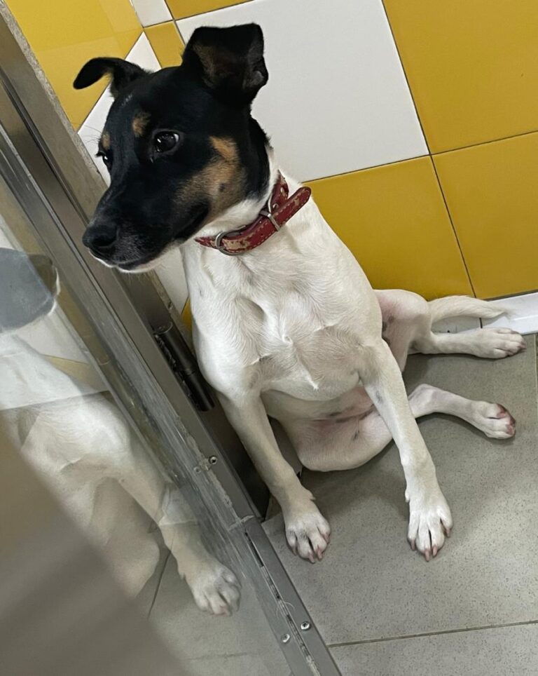 multimedia-foto86232-823-1