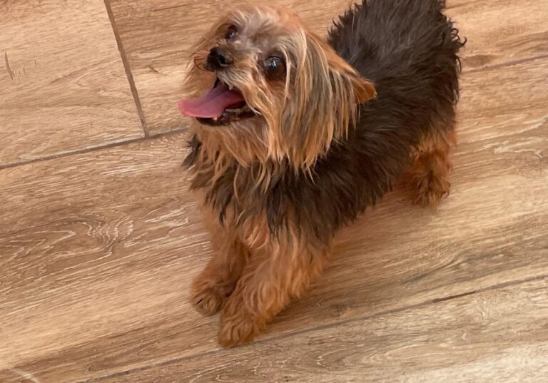 multimedia-foto86277-317-1