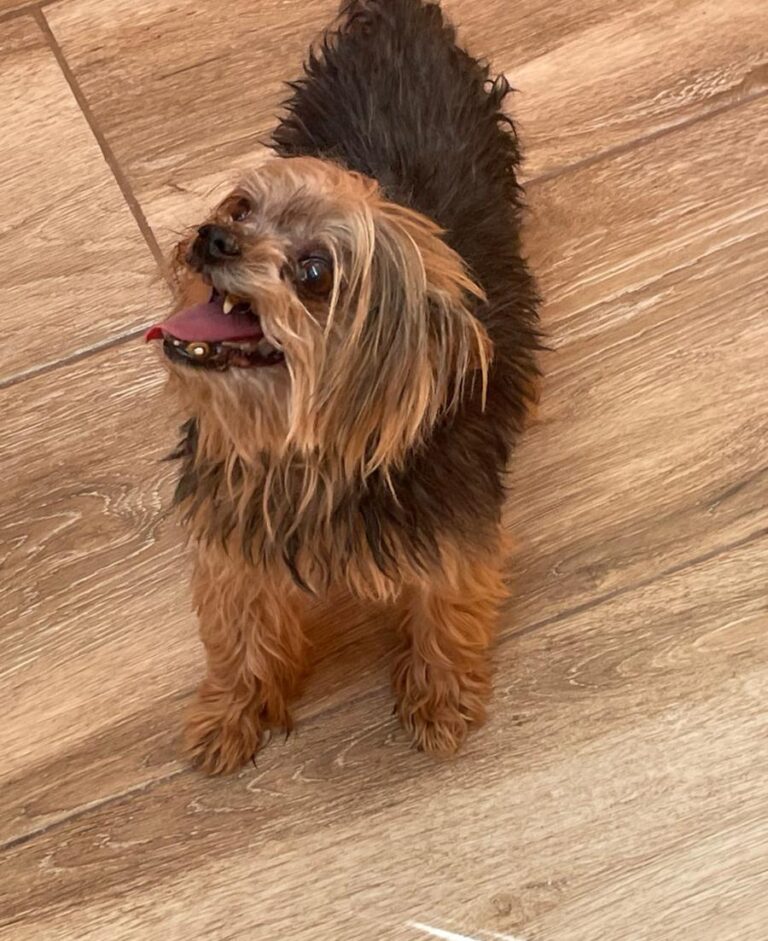 multimedia-foto86278-317-1