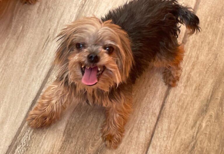 multimedia-foto86279-318-1