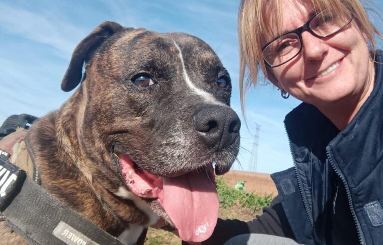 multimedia-foto86302-59-1