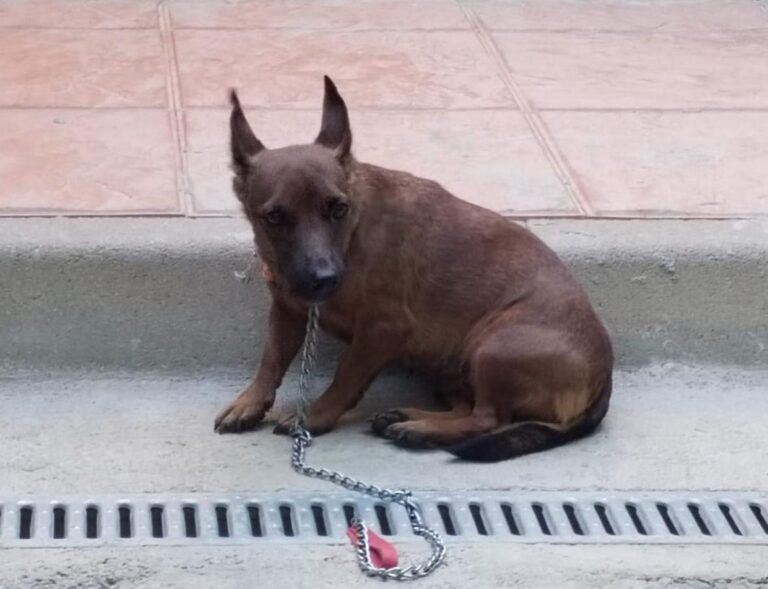 multimedia-foto86304-104-1