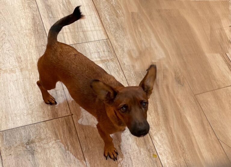 multimedia-foto86305-104-1