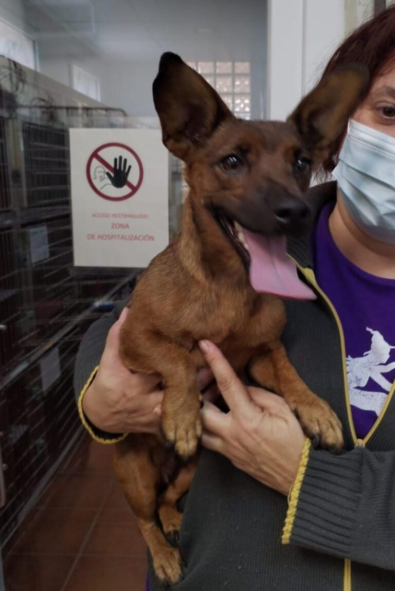 multimedia-foto86308-105-1