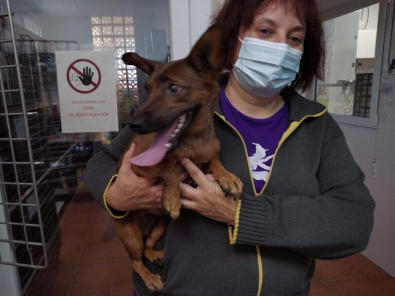 multimedia-foto86309-105-1