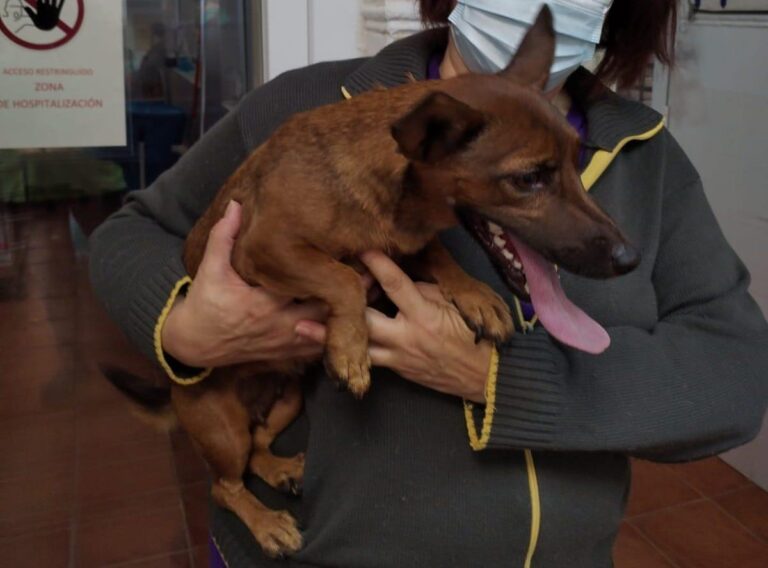 multimedia-foto86310-105-1