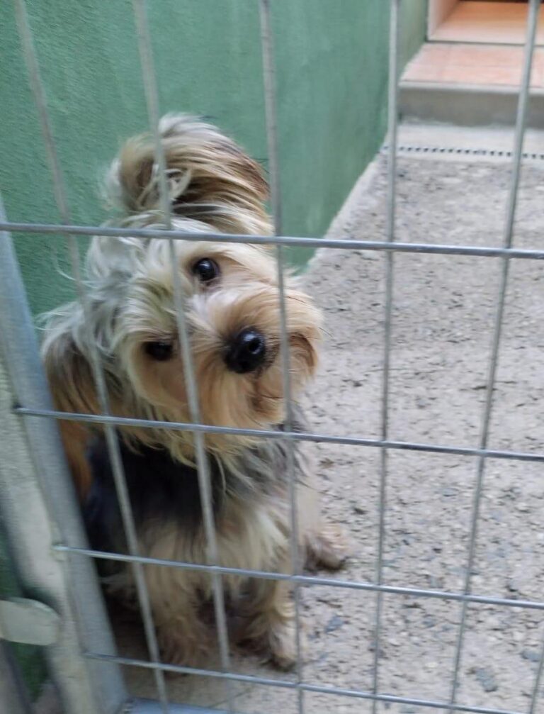 multimedia-foto86312-257-1