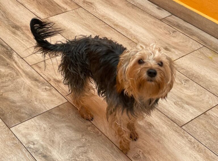 multimedia-foto86313-257-1