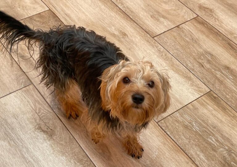 multimedia-foto86314-257-1