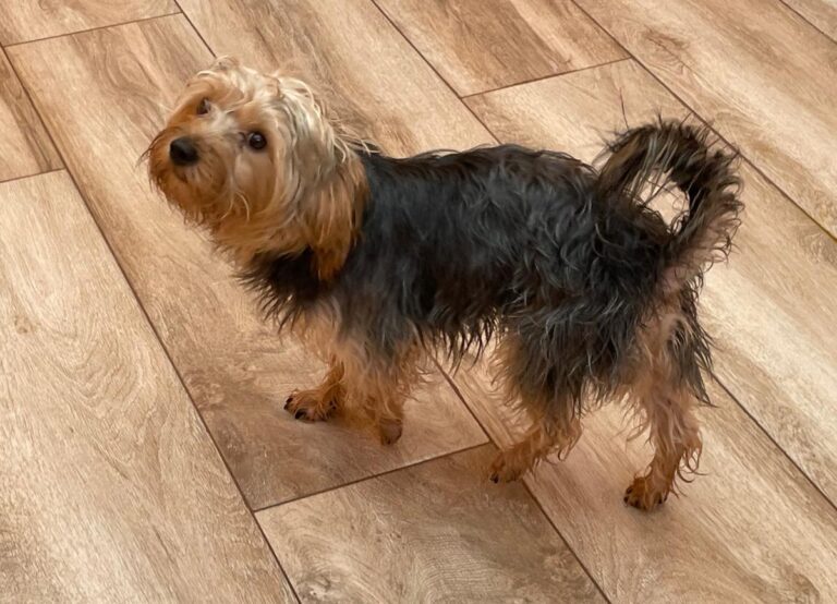 multimedia-foto86315-257-1