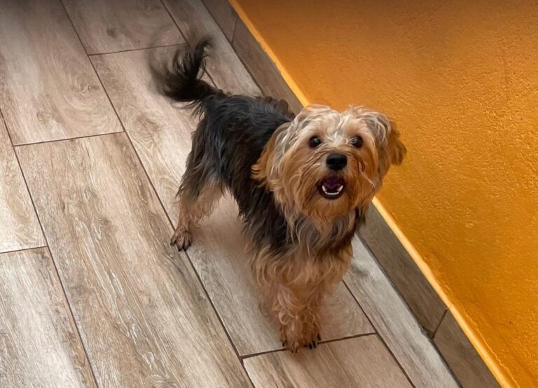 multimedia-foto86316-257-1