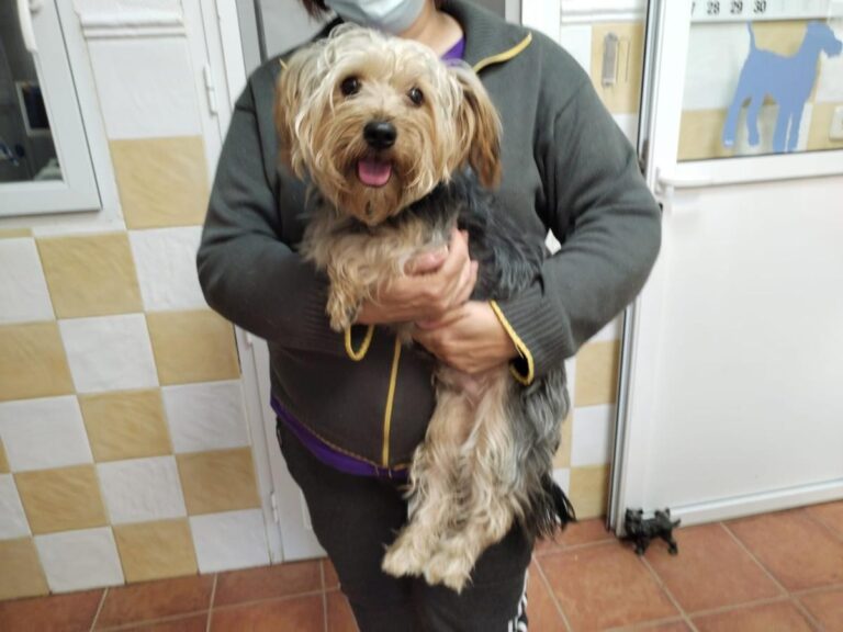 multimedia-foto86317-258-1