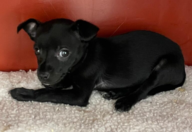 multimedia-foto86318-538-1