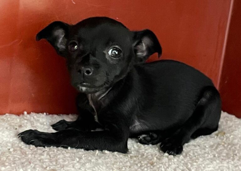 multimedia-foto86319-538-1