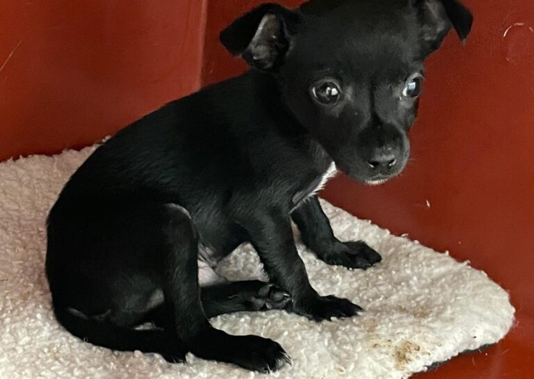 multimedia-foto86320-538-1